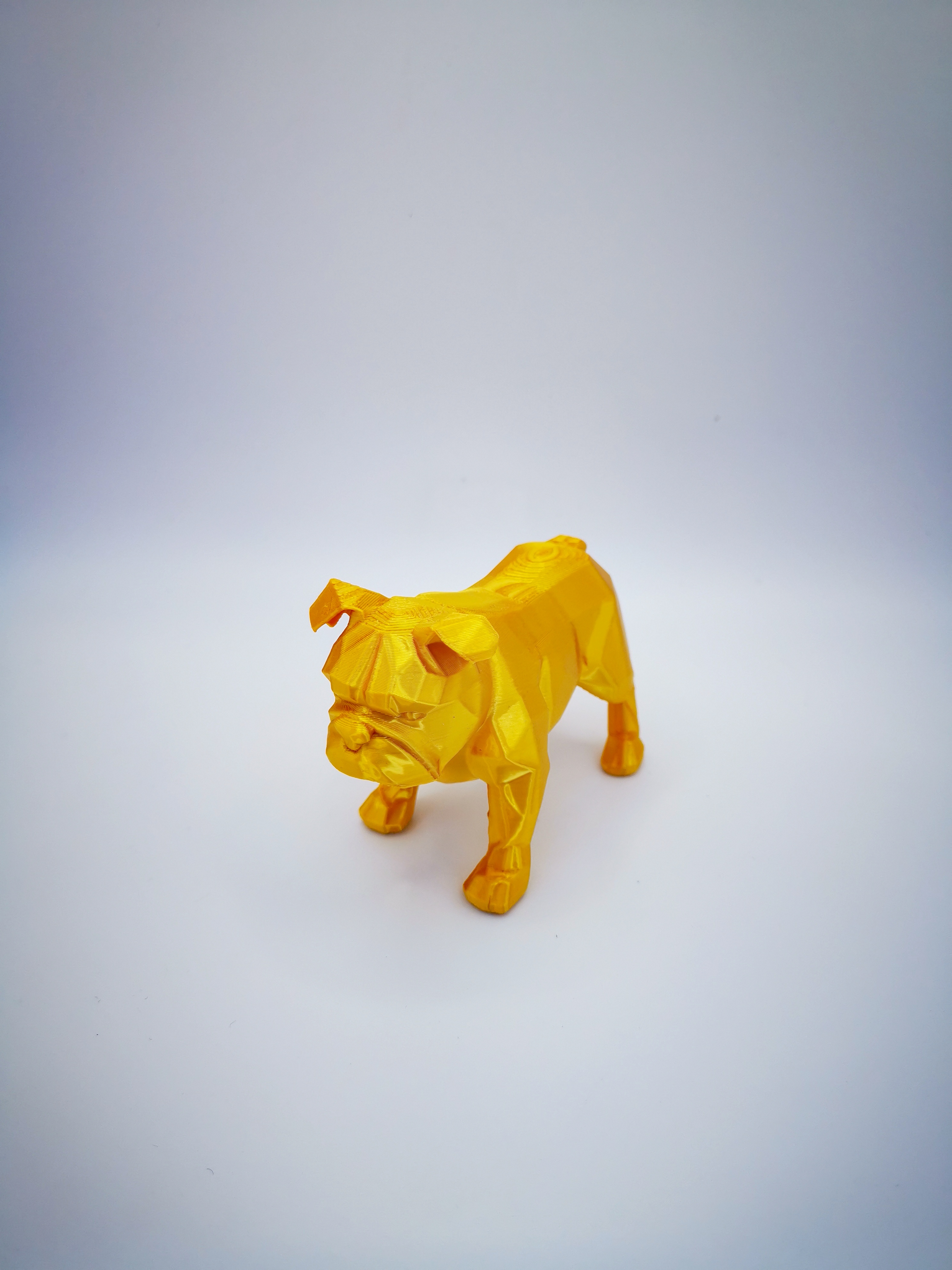 Bouledogue français - Poly art