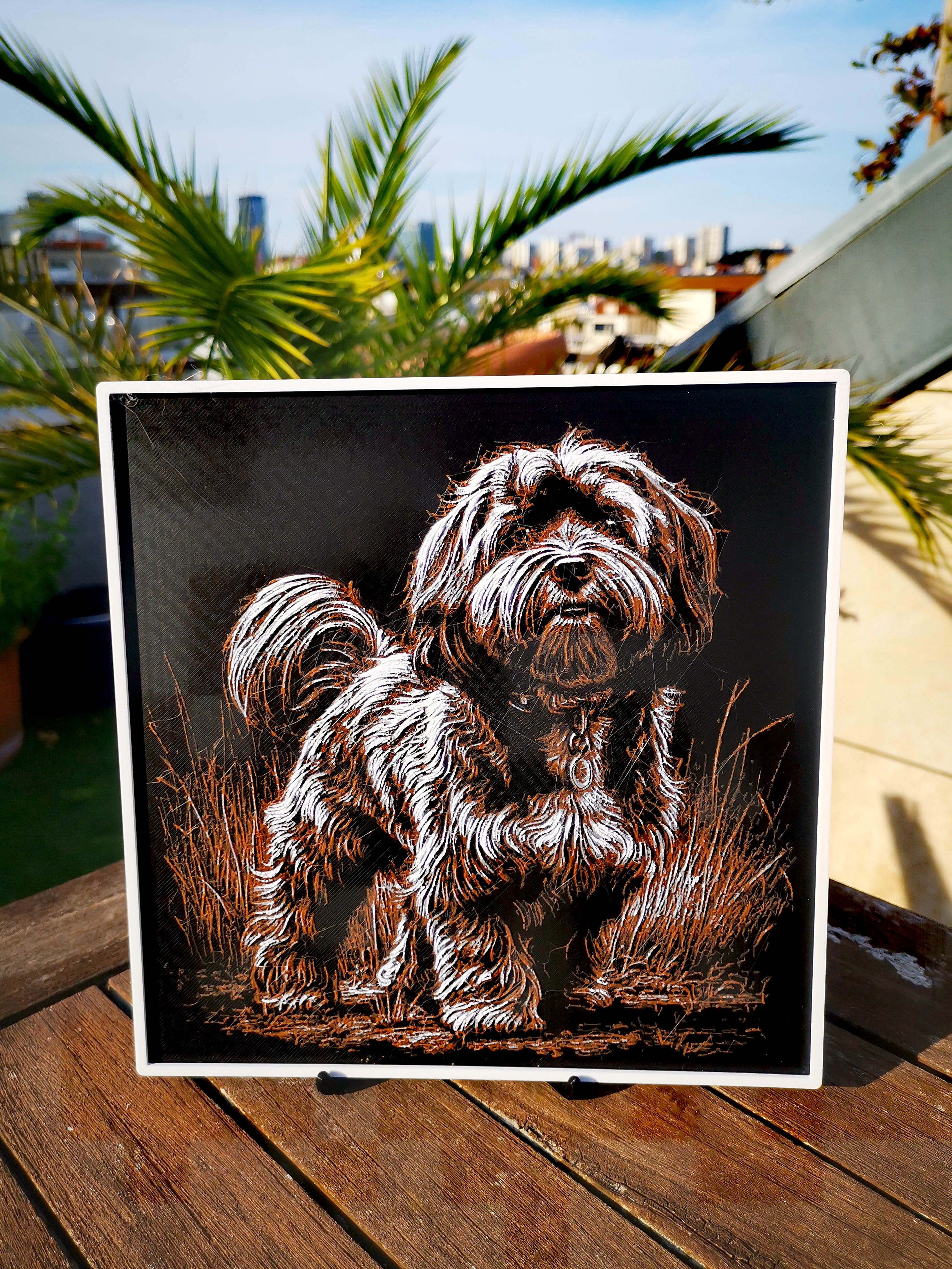 Gravure de Chien Havanais