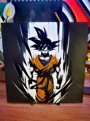 Gravure de San Goku