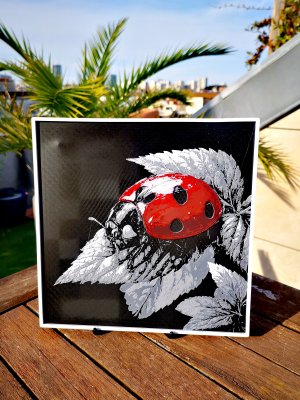 Gravure de Coccinelle